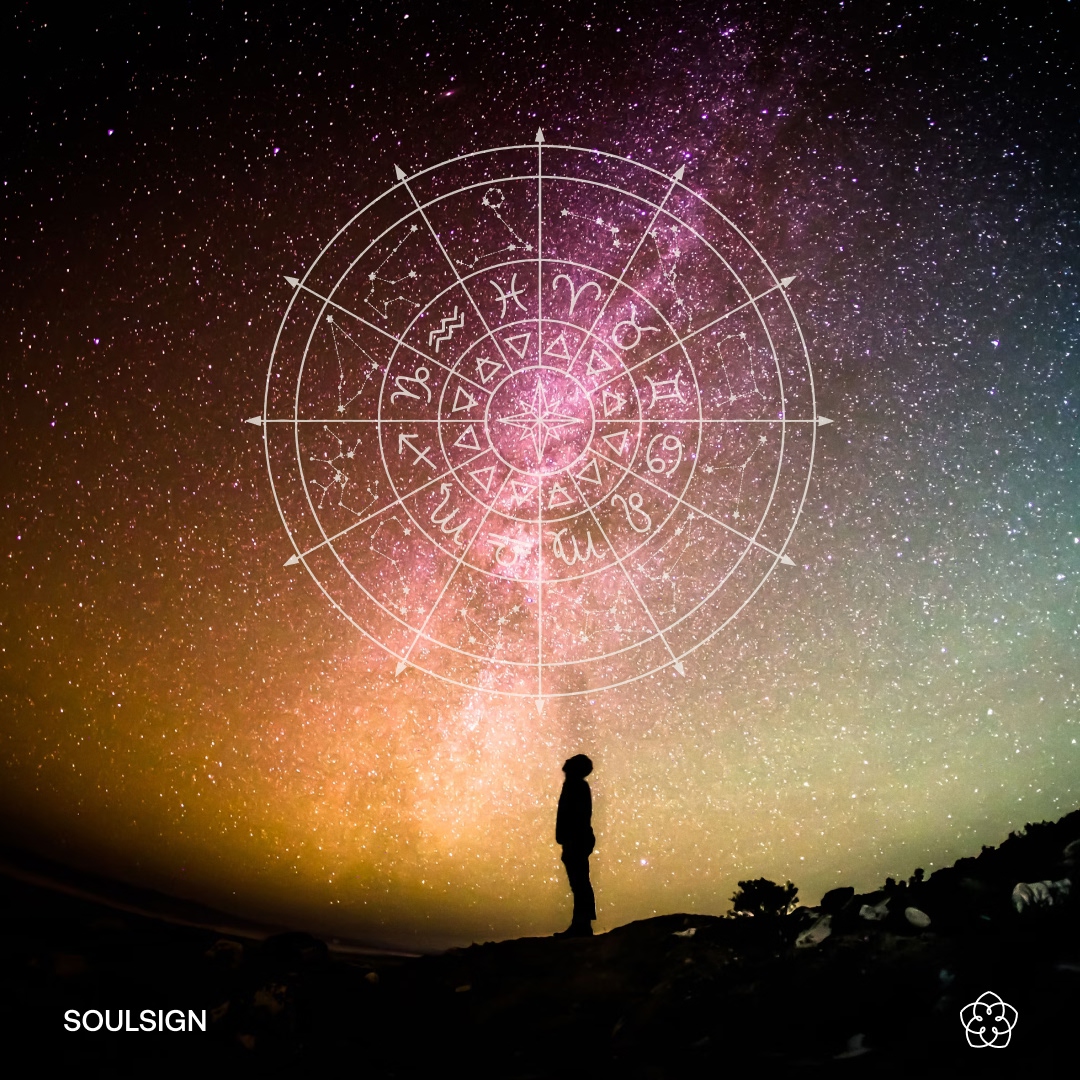 My Chart Is (In) My Body Course #1 (MCIIMB #1)