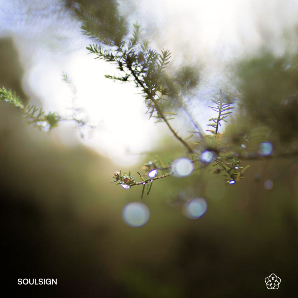 Breath of the Soul Meditation (audio)