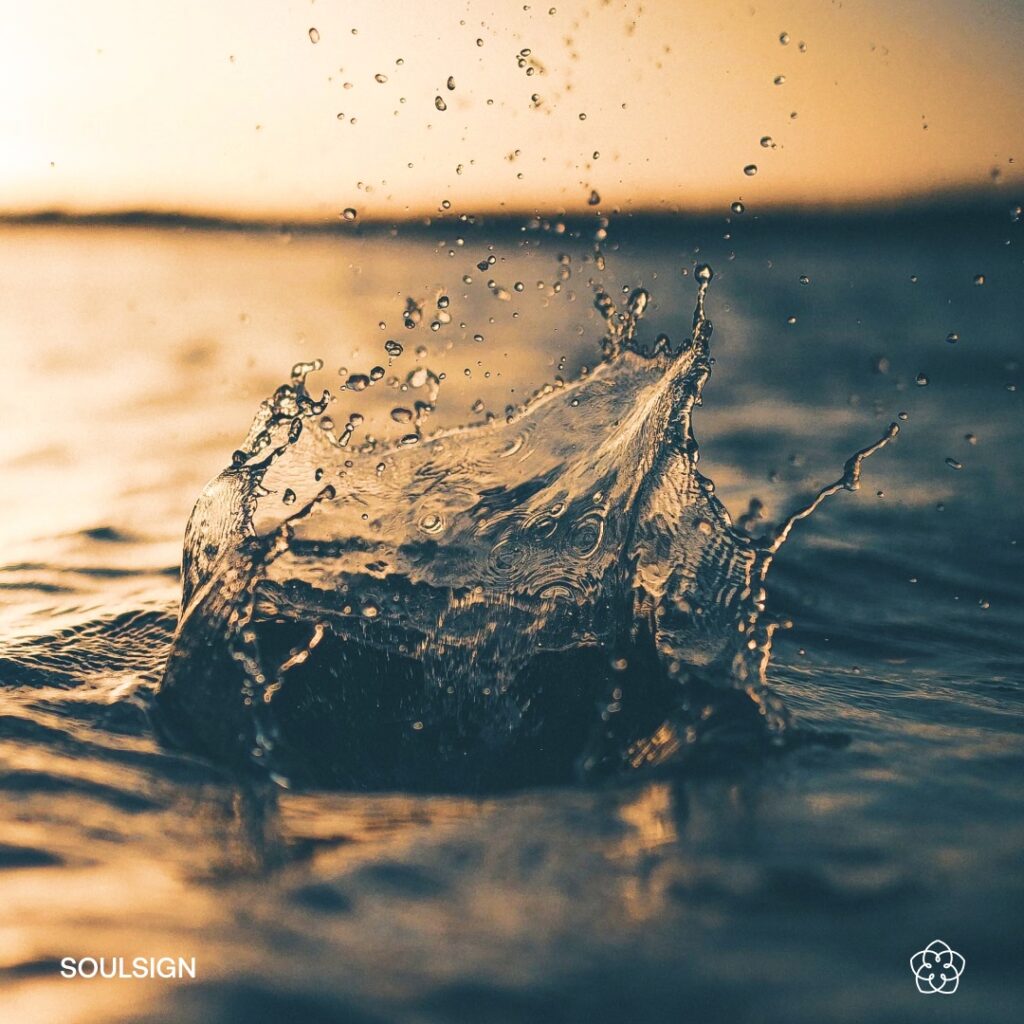 Breath of the Soul Level I Training