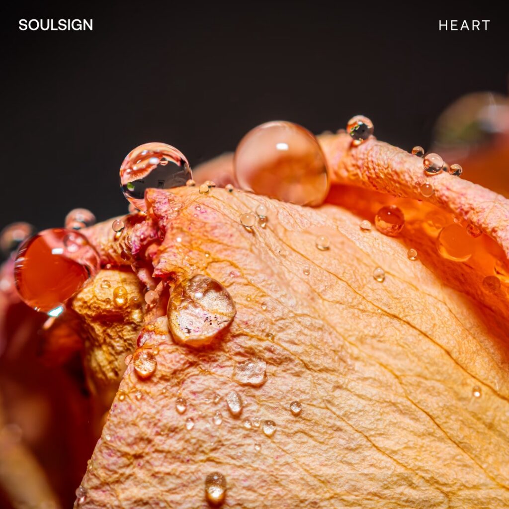 Deep Heart Meditation (audio)