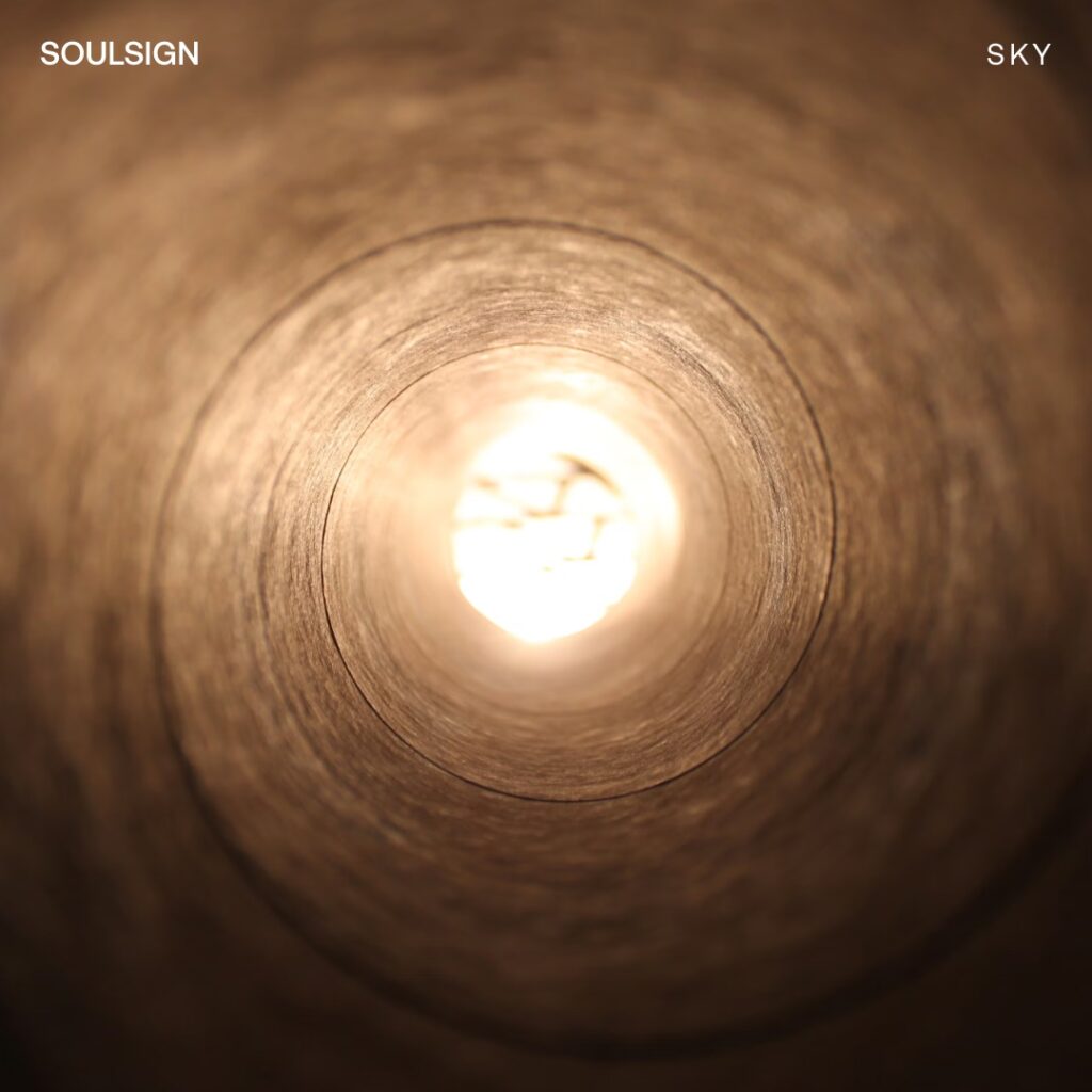 Soulsign Astrology Immersion Course