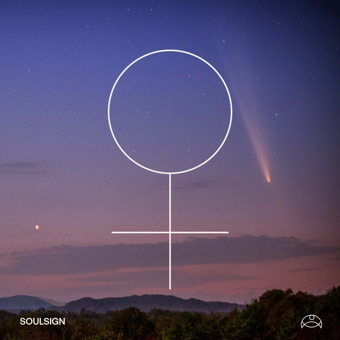 The Transmutation Phase of Venus