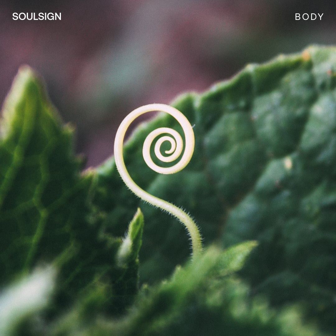 Breath of the Soul Session