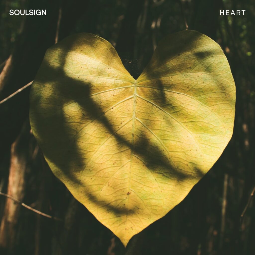 Open Heart Principles Course