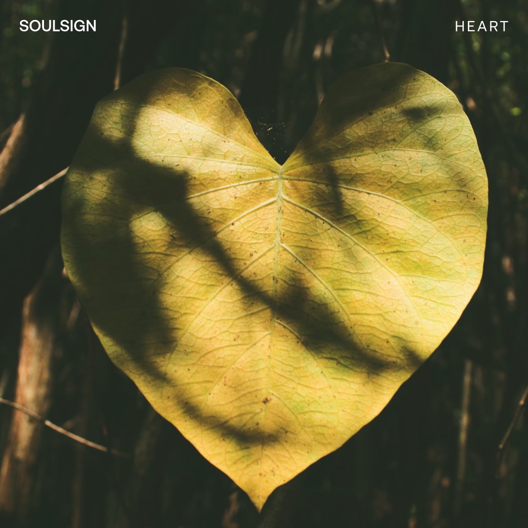 Open Heart Principles Course